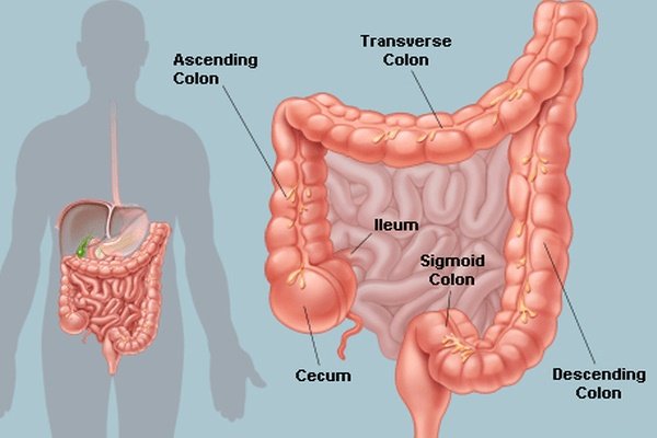 What to Eat After a Colonic Hydrotherapy Session? 2 Colonic Hydrotherapy