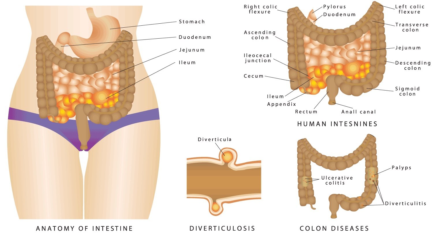 Open System Colon Hydrotherapy 437