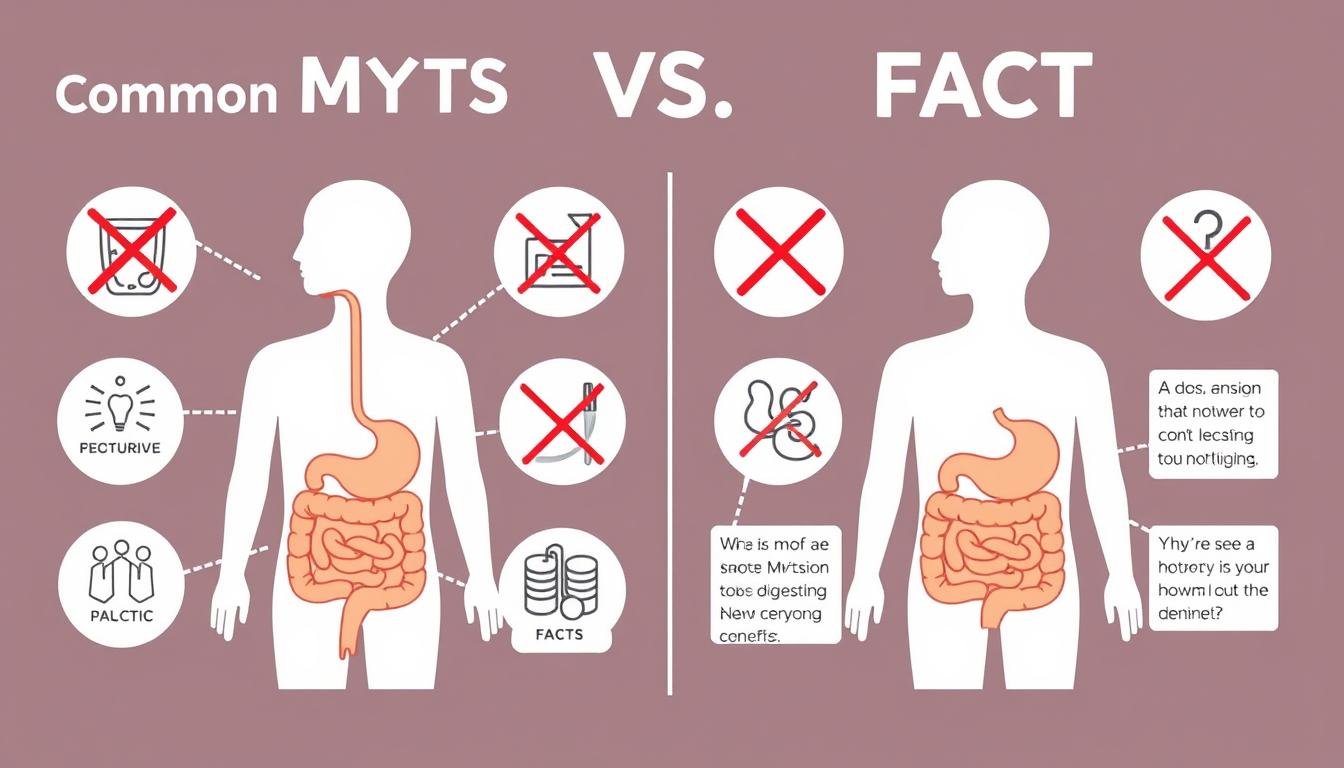 Illustration debunking common myths about how a colonic works Illustration debunking common myths about how a colonic works